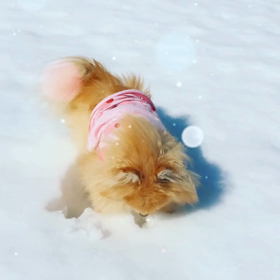 これいつのかなあと見ていたら。の画像