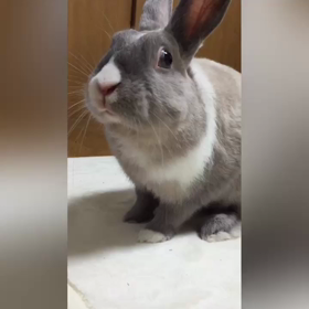 掘り掘り〜の画像