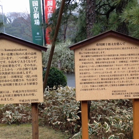 雨に咲く花・・・の画像