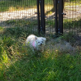 仙台港アウトレットの画像
