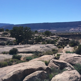 引っ越し　ちょうど一年前の画像