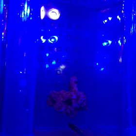 ビッ  グフィッシュハウス保育園の画像