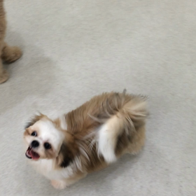 ♪プレイルーム動画♪②の画像