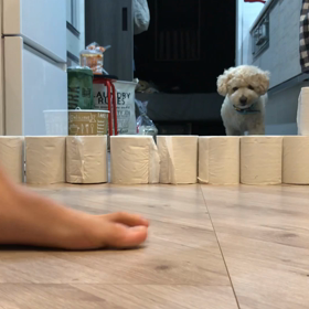 トイレットペーパーチャレンジの画像