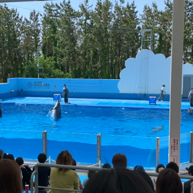 久しぶりに自然の休日の画像