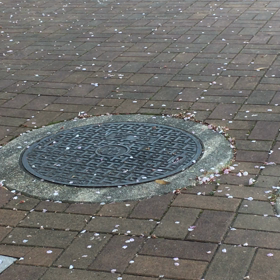 花びらのダンスの画像
