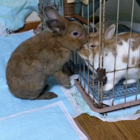 イッキに厚着の画像