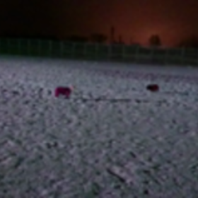 夜のストックの画像