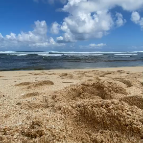 お疲れ様の画像