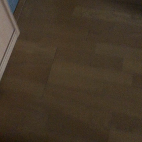 保育園の運動会が中止かなぁ〜ジム太極拳。寒い朝のデール。の画像