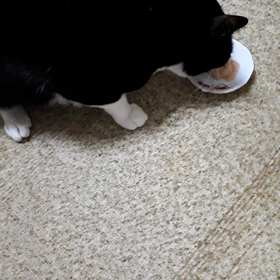 新しい景色のためにの画像