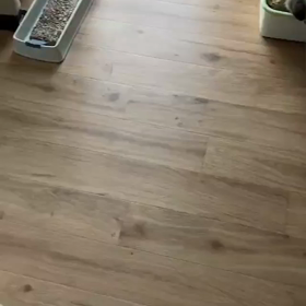 ワルサーズ退院の画像