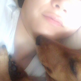 梅雨明けたん？の画像