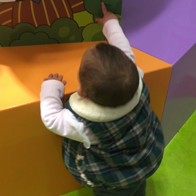 動画テストの画像