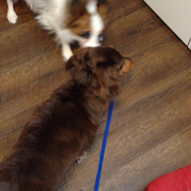 お過ごし具合の画像