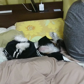 小ネタ:新商品の画像