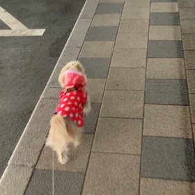 退院して2日目の画像