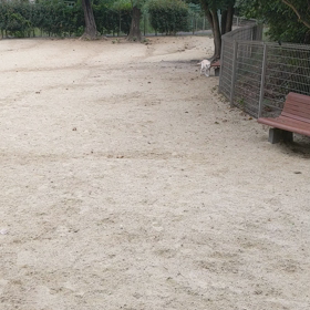 ドッグランの画像