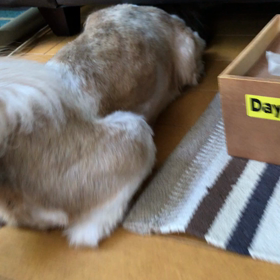 本当に、好きなんだね❤️の画像