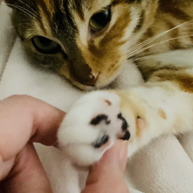 HAPPY BIRTHDAY姫ちゃん♡の画像