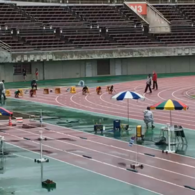 女子６年100m予選④の画像