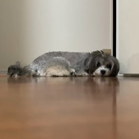 待ってますの画像