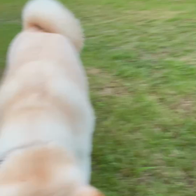 新しい物好きの画像