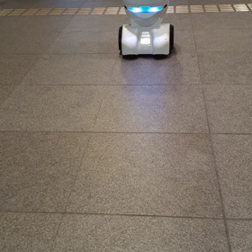 なんか音がしたのでの画像