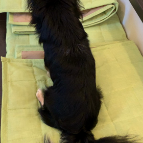 びっくりポン☆の画像