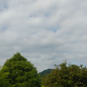 自然の中の朝の癒しの画像