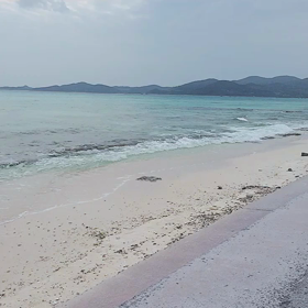 Sound of the seaの画像