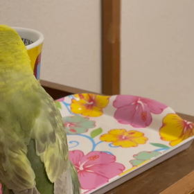 癒しのひとときの画像