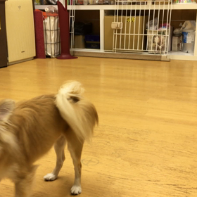 では改めまして。の画像