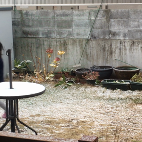 寒〜〜（4連休の目論見は外れた！）の画像