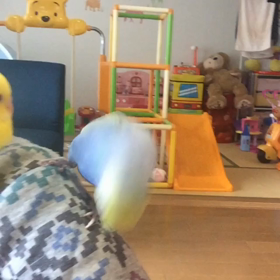 急接近。の画像