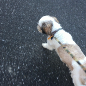 交換日記 たつのんmamaの画像