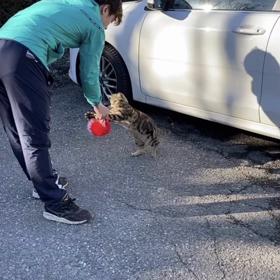 宇野樹君のTwitter & インスタより　猫アレルギーですが我慢出来なかったようです！の画像