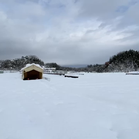 19日・20日のスポーツ走行は雪のため中止の画像