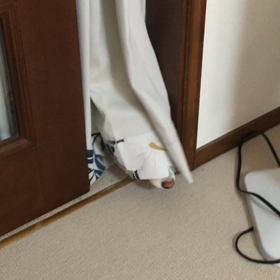 うるう年♡の画像