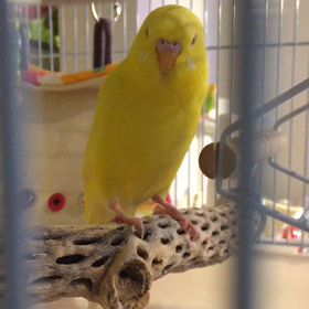 こっそり動画撮影。の画像