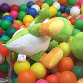 本日は大型の画像