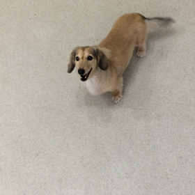 ♪プレイルーム動画♪②の画像