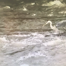 Do~んな天気！動画です！の画像