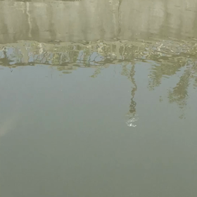 魚里の画像