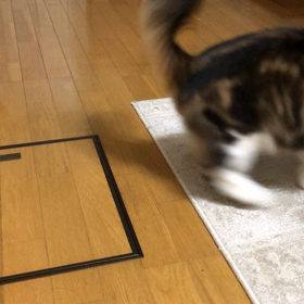 3連続ジャンプ。の画像