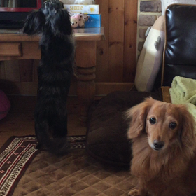 遊ぼう❣️の画像