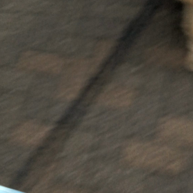 その後 ポンの排泄事情の画像