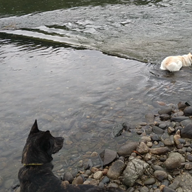 雨の中で川遊びの画像