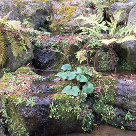 僕の侘び寂びの話。の画像