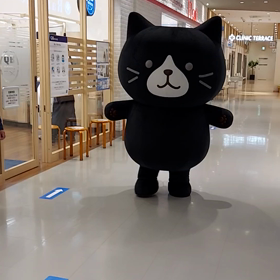 アピタ綱島ふくふくにゃんこ撮影会⑥～動画★～の画像